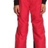The North Face Freedom Insulated Pant - Boys -Ski Equipment Store max 1124394 NF0A7WP7 682 hero