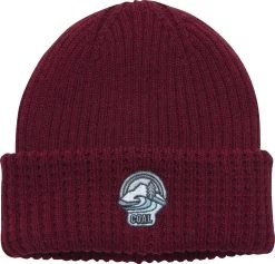 Coal The Shuksan Beanie 2020