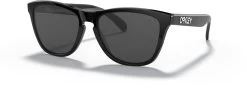 Oakley Frogskins Sunglasses 2021