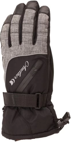 Auclair Alpine Ski Glove - Womens 2020